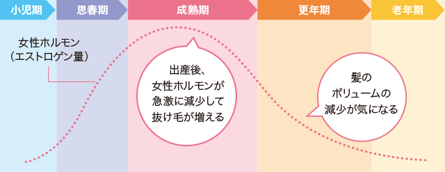 女性のホルモン量は成熟期以降減少し抜け毛が増えます。更に更年期には毛量が減少します。
