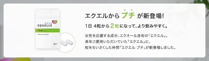 エクエル価格表